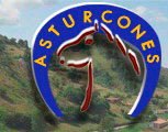 asturcón